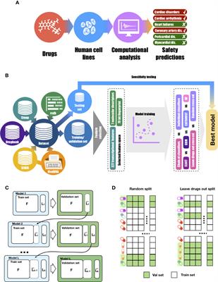 Dual Transcriptomic and <mark class="highlighted">Molecular Machine</mark> Learning Predicts all Major Clinical Forms of Drug Cardiotoxicity